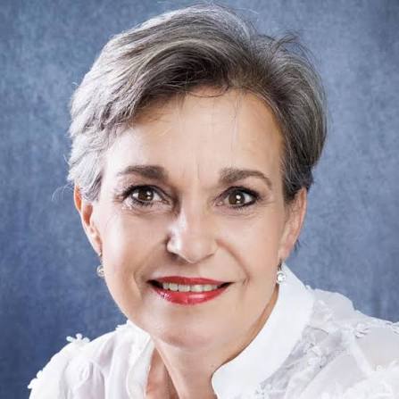 Tineke van Rooyen, practising attorney
